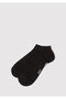2 Pack Black Booties Socks 090985-902 - 3