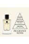 Eau De Parfum for Men 100ml Long Lasting Woody Amber Fragrance with Lavender, Iris & Vanilla – Luxury Masculine Perfume - Eclipse - 6