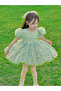 Girls Floral Print Puff Sleeve Dress - 5
