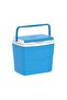 Picnic Icebox - 8