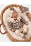 Unez Premium Leopard Patterned Baby Set – Lace Collar, Bottom with Booties, Stylish Bandana Set - 2