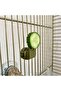 Bird Accessories Set for Cages – Fruit Fork, Stick Feeder, and Beak Stone Holder - 5