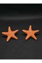 Sea Star Model Mine Handcrafted Steel Women's Earrings Summer Model Stylish Accessory Jewelry Titanium Summer Style New Gift Luck - 4