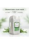 Professional Complex Rosemary Conditioner 5L – Salon Size Deep Nourishing & Strengthening Hair Conditioner | Repair & Smooth Frizz-Prone Hair - 5