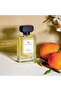Vetiver and Orange Eau de Parfum for Men - 100 ml - 6
