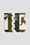 5-pack patterned socks