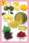 My Jumbo Fruit Pictionary - 8