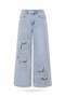 Light Blue Embroidery Detailed Jean 1025
