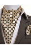 Beige and Brown Shawl Patterned Satin Men's Accessory Set: Scarf, Shawl, and Handkerchief - 2