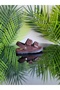 Lightweight Soft Girls Boys Baby Kids Daily Basic Slippers Sandals Shoes - 5