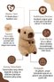 Ty Beanie Boos Capybara Lara Plush Toy |   Cream Color Shiny Eyed Animal Figure 20 cm |   Child over 3 Years Old - 2