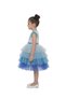 - Blue Tiered Tulle Princess Dress - 4Y to 8Y - 2