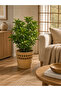 Hand Knitted Large Wicker Flower Pot Basket Decorative Natural Flower Pot 30 cm - 3