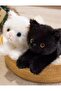 Realistic Design Long-Haired Soft Plush Cat Sleeping Companion Gift 40 Inches - 4