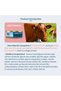 Canned Cat Food, Complete Nutrition for All Life Stages, Beef Flavor, 100g * 6 Cans - 3