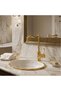Elite X Gold Kitchen Sink Faucet 130538 - 2