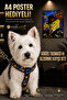 Chest Harness and Travel Strap Set with A4 Poster Gift