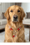 Colorful Cat and Dog Collar – Special Design Pet Accessory with Evil Eye Beads - 3