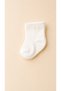 Basic Cotton Soft Color Baby Girl Socks Set of 6 - Boxed - 4
