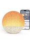 Sunrise 1+ Sound Machine, Sunrise Alarm Clock, Night Light, APP Control, Sleep Routines, 34 Soothing Sounds