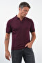 Burgundy Polo Collar Short Sleeve Knitted Comfort Fit 100% Cotton Sweater 1012260151