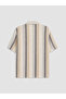 Lcw Kids Brown Short Sleeve Striped Boys' Shirt - 4