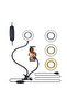 Professional Live Stream Selfie Ring Light with Phone Holder Stand, 3-Light Mode, 10-Level Brightness