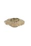 Champagne Gold Decorative Plate 15X43X44Cm