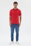 Red Polo Collar Pique Short Sleeve Slim Fit 100% Cotton T-Shirt 1011260171 - 2