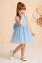 Baby Girl Children's Birthday Party Wedding Dress Tulle Tutu Lined Children's Clothing Baby Clothing Baby Girl Elbyyprpul - 5