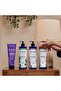 Dr Teal's 24 Hour Moisture+ Body Lotion, Eucalyptus & Spearmint & Essential Oils, 18 fl oz (Pack of 3) - 6