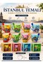 Istanbul Themed Porcelain Mug with Spoon Gift (1-Piece) Special Printed Colorful Coffee Cup, Tea Cup, Decorative for Home Office, Tourist Souvenir - 6