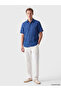 Özmarka New Season Blue Regular Fit 100% Linen Men's Shirt - 3