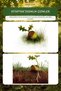 Meşe Palamudunun Sihri 4+ Years Old Ecology and Life Cycle Educational Children's Book - 4
