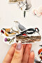 Anatolian Birds 25 Piece Sticker Pack Waterproof Laptop Thermos Phone Sticker Set - 8