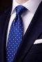Navy Blue Polka Dot Pattern Italian Silk Tie Ik2515
