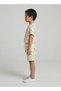 Boys Beige Dinosaur Print T-Shirt and Shorts Co-ord Set - 3