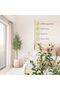 Artificial Olive Tree, Faux Plant for Living Room, Entryway, Office - 4