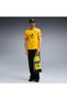 Borussia Dortmund 26/27 Home Men's Yellow Football Jersey 78408801 - 3