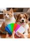 1 Piece Cat Dog Double-Sided Plastic Comb Flea Lice Comb - 4