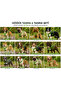 Woven Dog Chest Collar Set with Walking Strap 40*60-110 cm Neon Green - 2