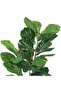Artificial Tree,3-Stem Fiddle Leaf Banyan Tree (100cm h) - Easy-Assembly Faux Banyan Plant with Woven Planter, Lifelike Leaves, Zero-Maintenance Decor for Home & Office - 5