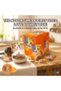 FIRSTBITE Chicken in Jelly Wet Food Pouches for Cats 12x85g – Premium Complete & Balanced Cat Food for Kittens (3+ Months) and Adult Cats - 4