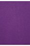 Regular Fit Zippered Embroidered Women's Purple Sweatshirt - 7