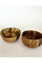 Coconut Bowl - 4