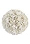 Shell Ball - 2
