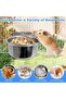 Bird feeders – Rust resistant – 3-piece set – with hanging device – Stainless steel – Suitable for small animals - 5