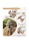 4-Piece Cute Women's Hair Clips with Bows, Large Matte Finish, Strong Hold, Suitable for Fine and Thick Hair | Fashion Hair Accessories - 2