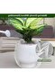 2-Pack 46x46cm Fine Mesh Insect Protection Bags, Garden Plant Pest Netting - 3