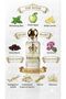 Fresh Summer Eau De Parfum 50ml – Refreshing Woody Floral Fragrance with Grapefruit, Cardamom, Tuberose, Ylang-Ylang & Suede - 2